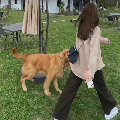 果宝特攻